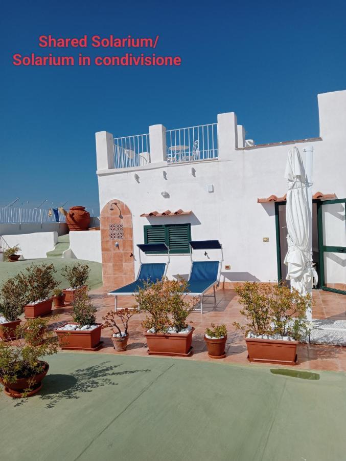 Torretta Corricella- Punta Serra 普罗奇达 外观 照片
